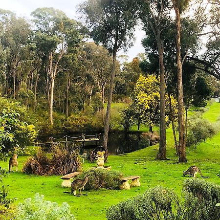 Countryside Retreat Romantic Tranquil Native Wildlife Township Hepburn - Daylesford Hepburn Springs Ngoại thất bức ảnh