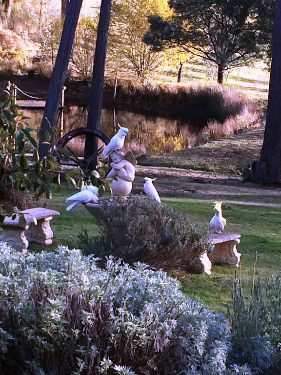 Countryside Retreat Romantic Tranquil Native Wildlife Township Hepburn - Daylesford Hepburn Springs Ngoại thất bức ảnh
