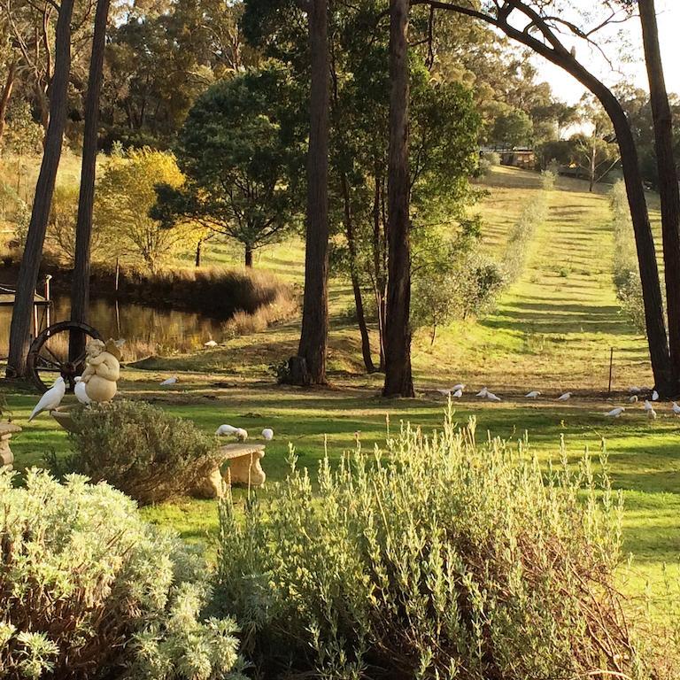 Countryside Retreat Romantic Tranquil Native Wildlife Township Hepburn - Daylesford Hepburn Springs Ngoại thất bức ảnh