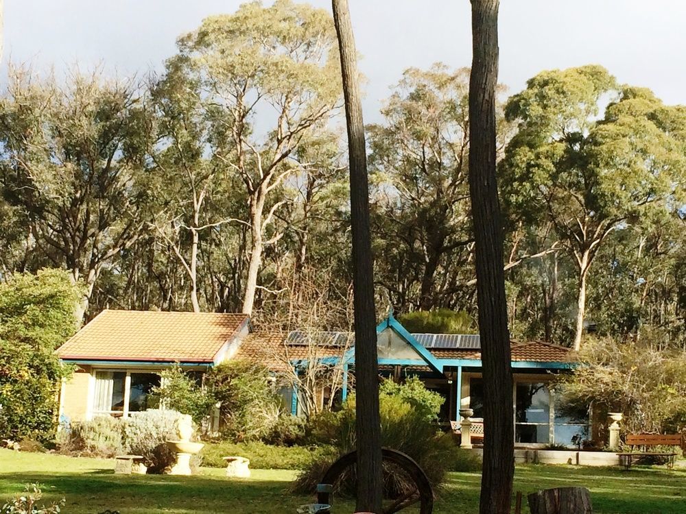 Countryside Retreat Romantic Tranquil Native Wildlife Township Hepburn - Daylesford Hepburn Springs Ngoại thất bức ảnh