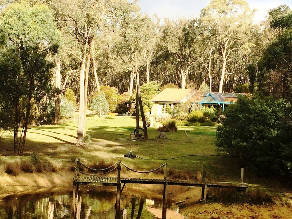 Countryside Retreat Romantic Tranquil Native Wildlife Township Hepburn - Daylesford Hepburn Springs Ngoại thất bức ảnh