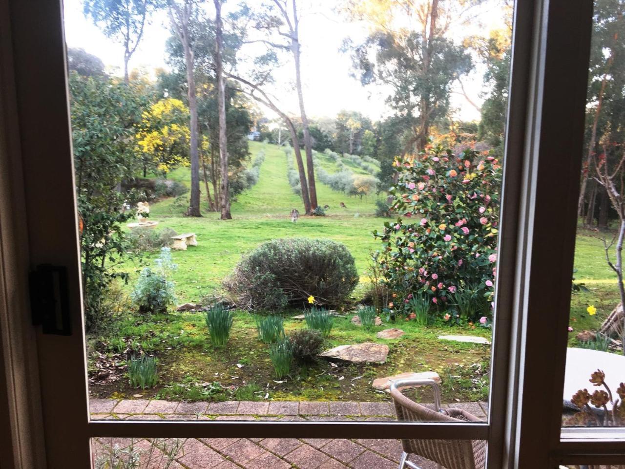 Countryside Retreat Romantic Tranquil Native Wildlife Township Hepburn - Daylesford Hepburn Springs Ngoại thất bức ảnh