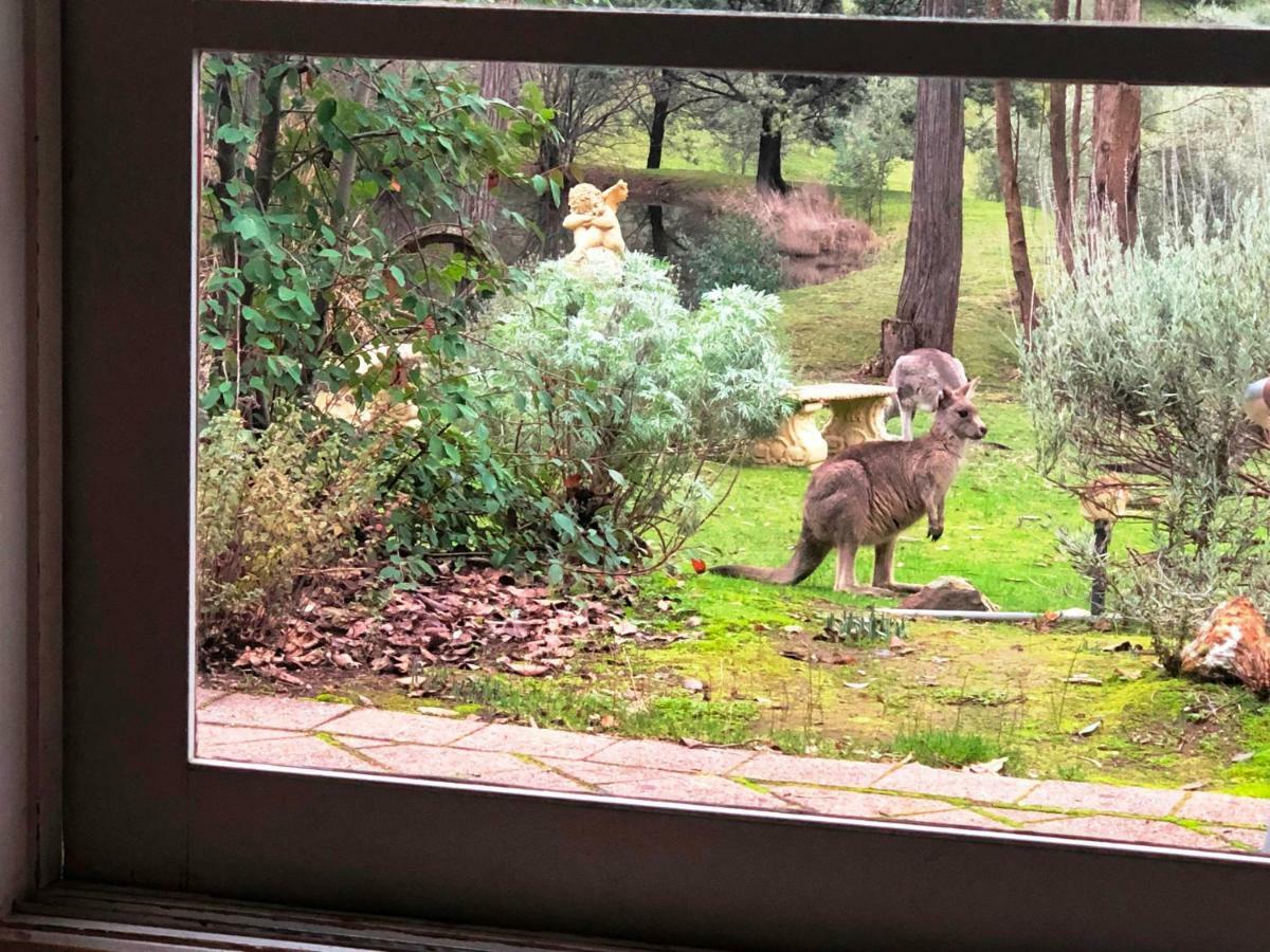 Countryside Retreat Romantic Tranquil Native Wildlife Township Hepburn - Daylesford Hepburn Springs Ngoại thất bức ảnh