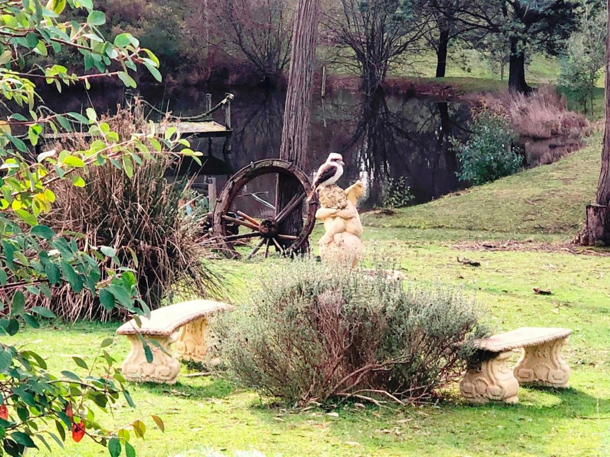Countryside Retreat Romantic Tranquil Native Wildlife Township Hepburn - Daylesford Hepburn Springs Ngoại thất bức ảnh